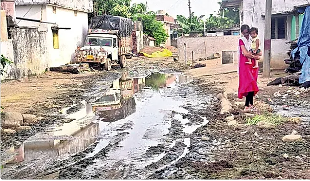 దోమల నివారణకు  కోట్ల నిధులు..  ఫలితం సున్నా