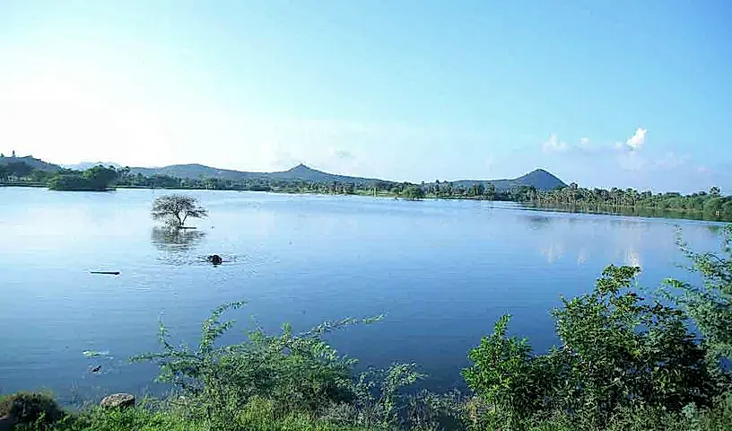 వర్షాభావ జిల్లాలో జలధారల సందడి: చెరువుల అనుసంధానంతో నీటి నిల్వలు