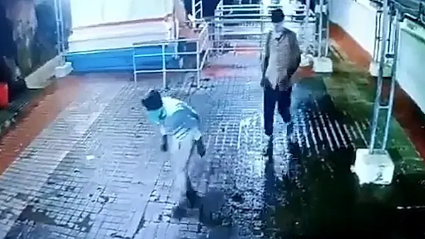 బాసర సరస్వతి ఆలయంలో చోరీ కలకలం