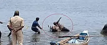 కృష్ణ జిల్లాలో విషాదం : బైక్‌కు తాళ్లతో కట్టిన మామ, అల్లుడు మృతదేహాలు