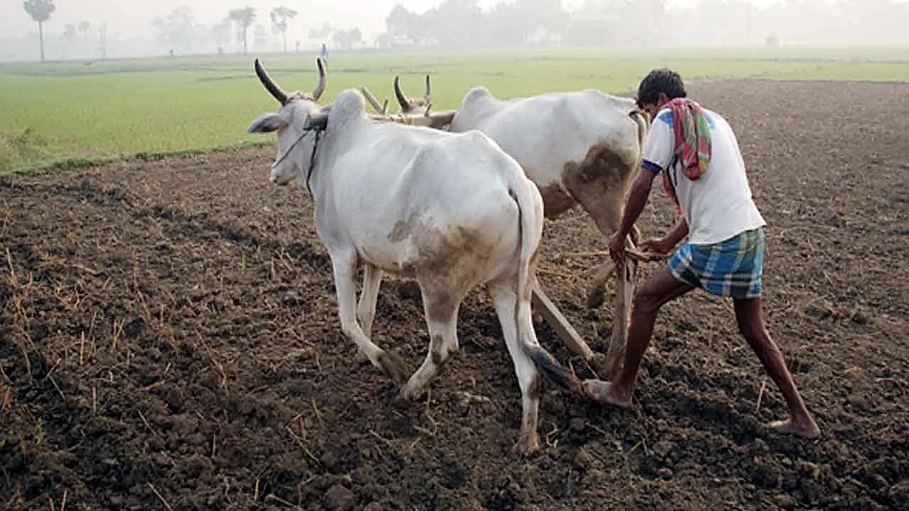 ఎల్ నినో ప్రభావం.. జూలైలోనూ తక్కువ వర్షాలే