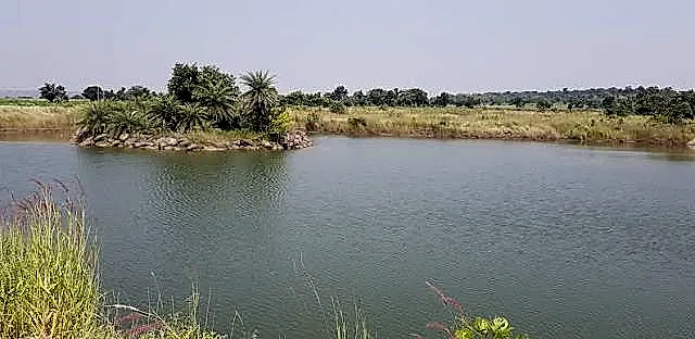 కల్వర్టు నీటి కుంటలో శవం