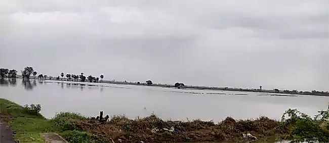గుంటూరు జిల్లాలో ఎడతెరపి వర్షాలు.. పొంగుతున్న వాగులు, నీట మునిగిన పంట పొలాలు