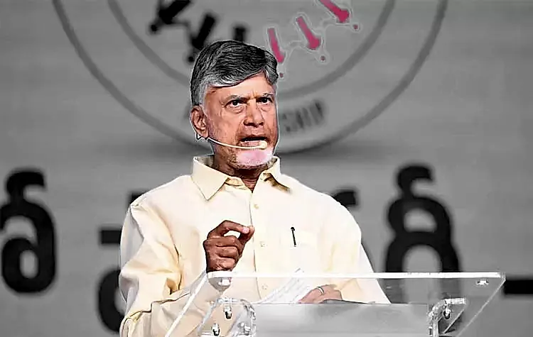 ఏపీలో ఆక్వా రంగాన్ని ఆదుకోండి.. : కేంద్ర మంత్రులకు సీఎం చంద్రబాబు విజ్ఞప్తి