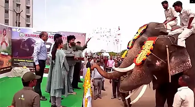 కుంకీ ఏనుగులకు డిప్యూటీ సీఎం పవన్ స్వాగతం