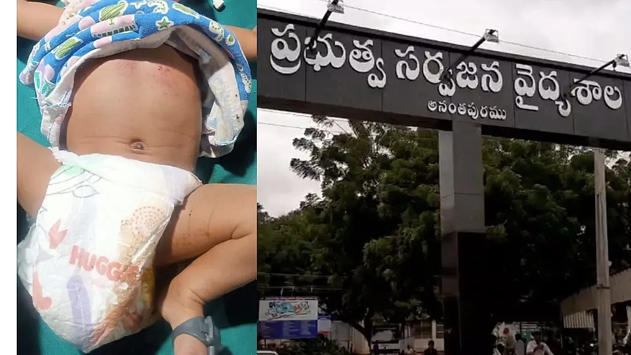 అనంతపురంలో హృదయ విదారక ఘటన: పసికందును కాలువలో పడేసిన నానమ్మ