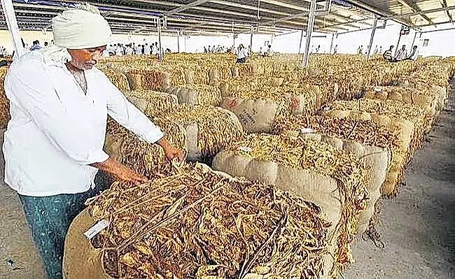 పొగాకు రైతులకు వడ్డీ లేని రుణాలకు కేంద్రం గ్రీన్ సిగ్నల్