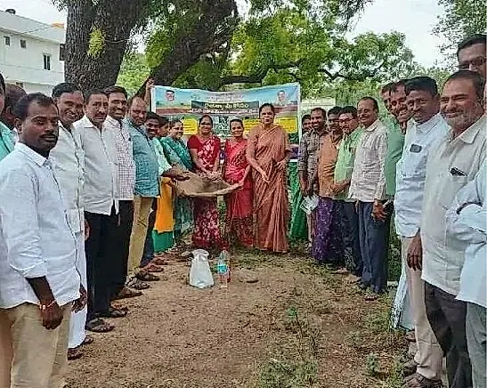 ఎల్ నినో ప్రభావం దృష్ట్యా ఆరుతడి పంటల సాగు చేయాలి: సహాయ వ్యవసాయ సంచాలకులు అనిత