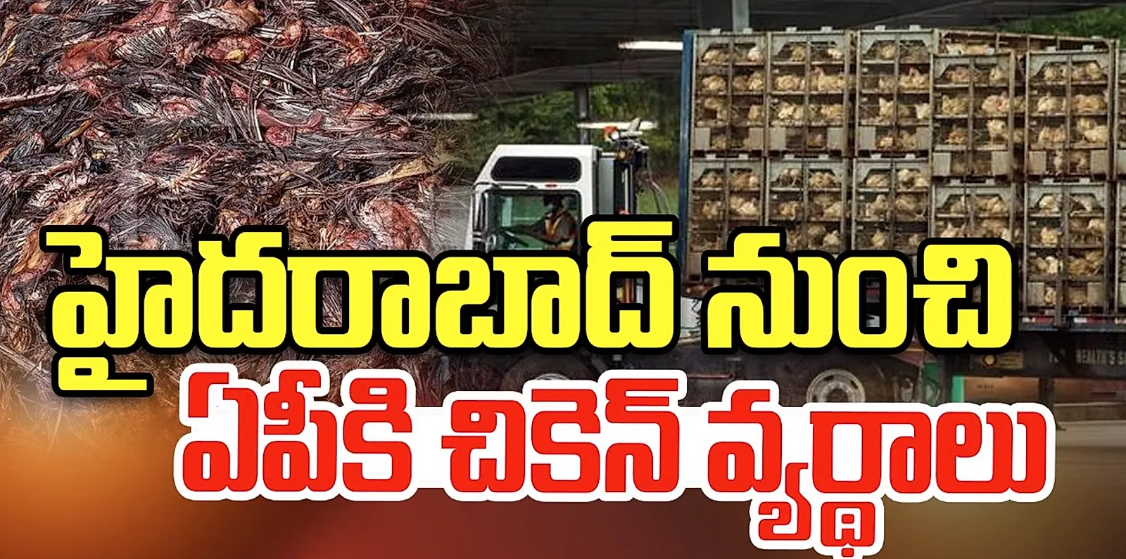 తెలంగాణ నుంచి ఏపీకి అక్రమంగా చికెన్ వ్యర్థాల రవాణా