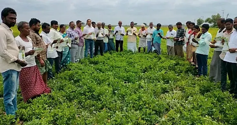 ప్రొద్దుటూరు మండలంలో వ్యవసాయ శాస్త్రవేత్తల పర్యటన