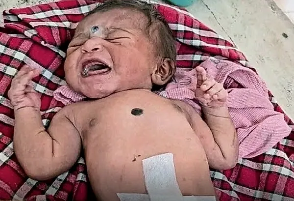 ముళ్ల పొదల్లో ఆడ శిశువు, గొర్రెల కాపరి అప్రమత్తతతో ప్రాణాపాయం తప్పింది