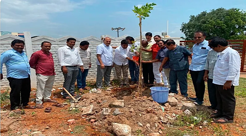 ‘వృక్ష ప్రొద్దుటూరు’ లక్ష్యంతో పచ్చదన కార్యక్రమం