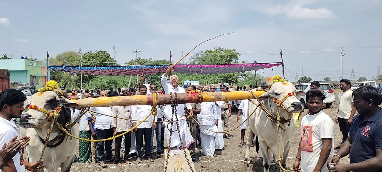 చౌడూరు గ్రామంలో ఎద్దుల బండలాగుడు పోటీలు ప్రారంభించిన ఎమ్మెల్యే వరదరాజుల రెడ్డి