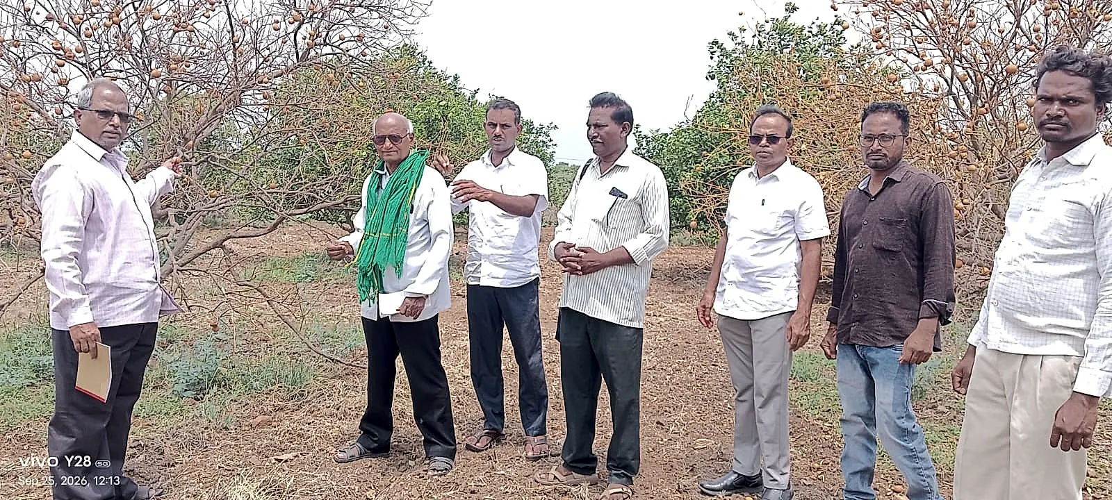 ఎల్ నినో ప్రభావంతో కడపను కరువు జిల్లాగా ప్రకటించాలి: దడాల సుబ్బారావు డిమాండ్