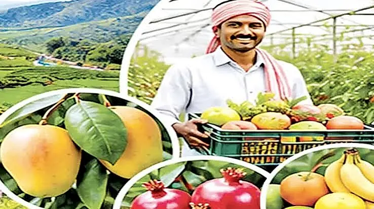 మదనపల్లిలో ‘రాయలసీమ ఉద్యాన హబ్’కు నేడు శంకుస్థాపన