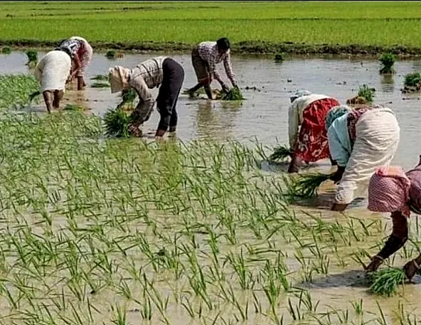 ఇంధనం–ఎరువుల సంక్షోభం: ద్వంద్వ సవాలు ఎదుర్కోనున్న భారత్