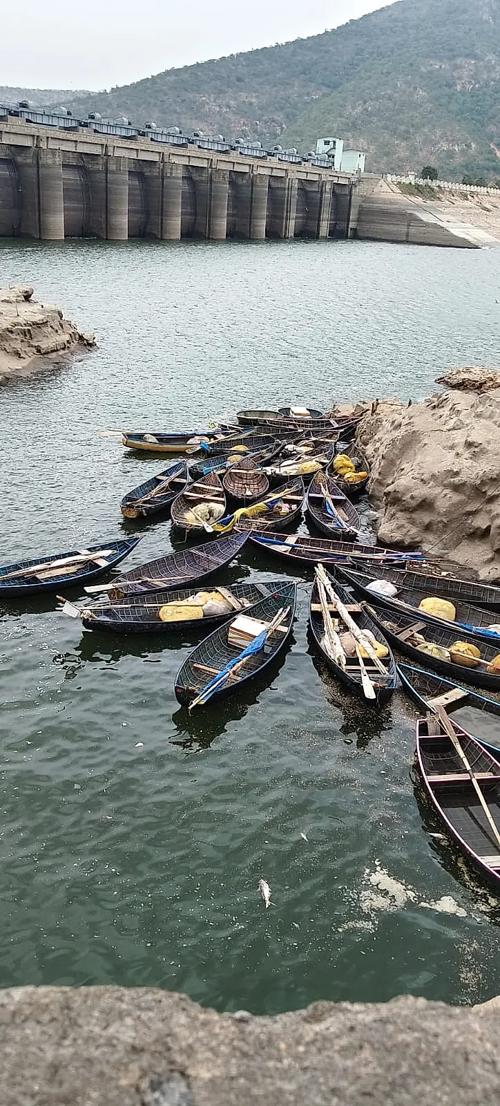 సోమశిల జలాశయంలో అక్రమ వేట కలకలం